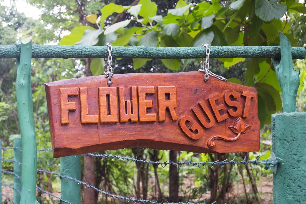 Sigiriya Flower Guest Εξωτερικό φωτογραφία