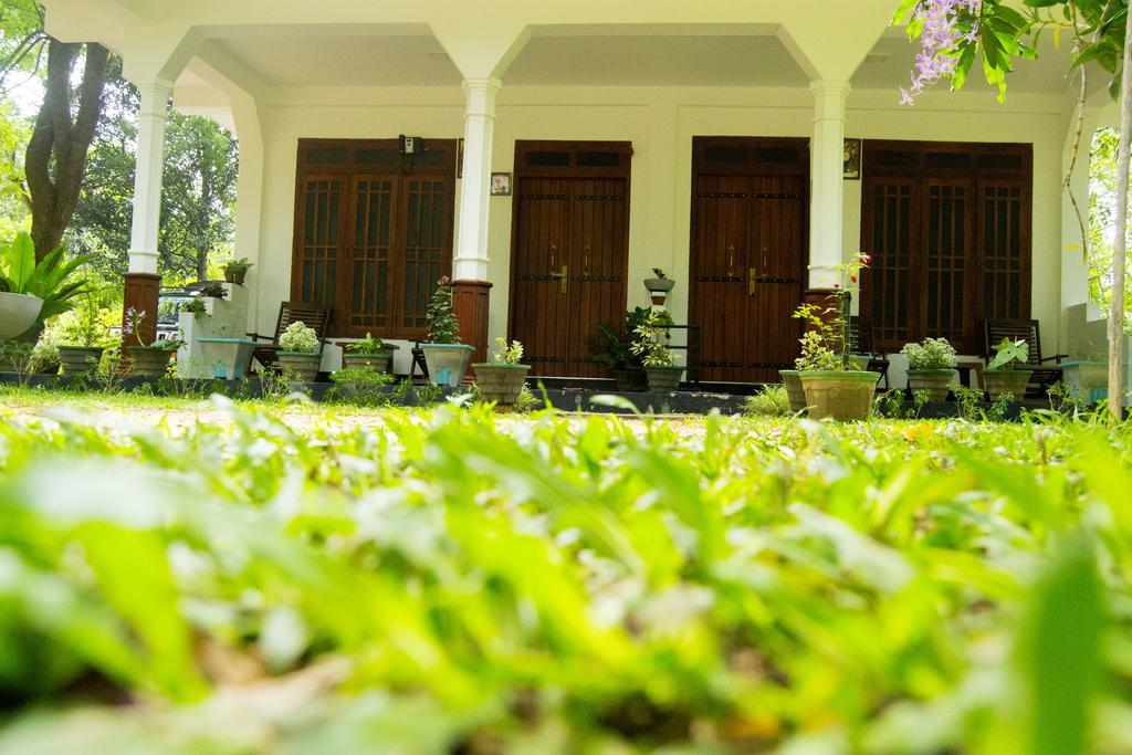 Sigiriya Flower Guest Εξωτερικό φωτογραφία